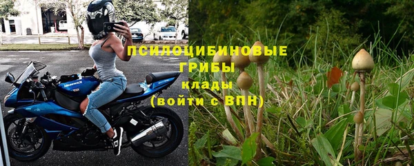 дживик Апатиты