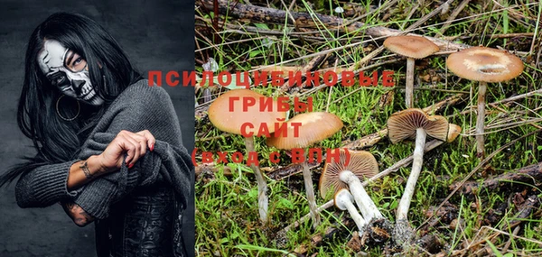 дмт Михайлов