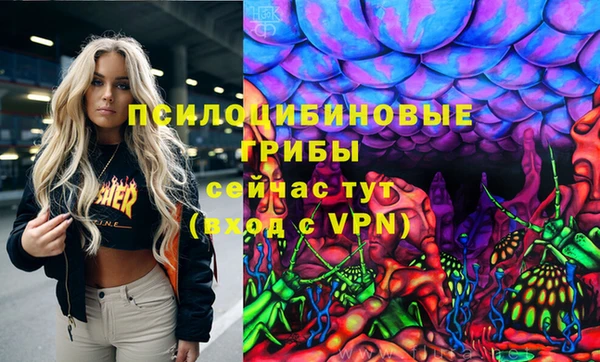 мдпв Надым