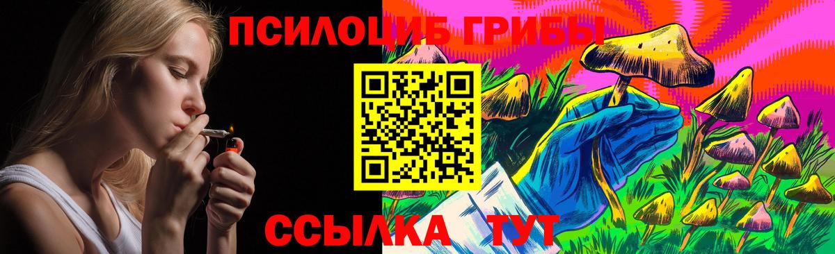 Псилоцибиновые грибы Psilocybine cubensis Урай